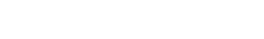 dataseed-logo